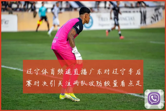 辽宁体育频道直播广东对辽宁季后赛对决引关注两队攻防较量看点足